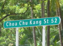 Choa Chu Kang Street 52 #88262